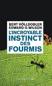 L'incroyable instinct des fourmis
