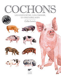 Cochons