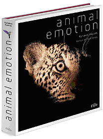 Animal emotion