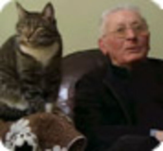Le père pestre et un chat abandonné