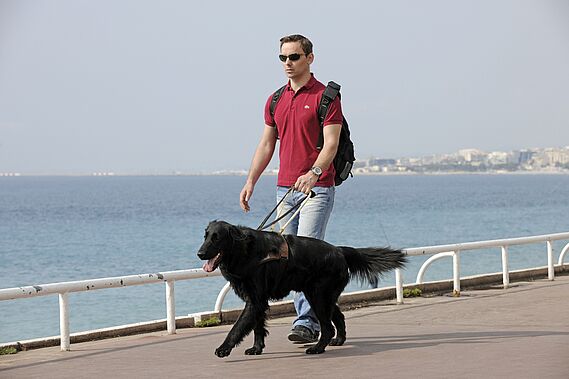Création d’un certificat pour les chiens guides d’aveugles