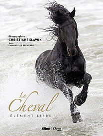 Cheval, élément libre