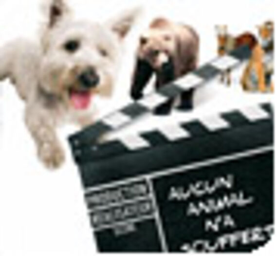 Le cinéma : un enfer pour les animaux acteurs ?