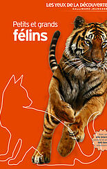 Petits et grands félins