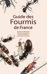 Guide des fourmis de France