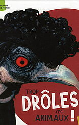 Trop drôles, ces animaux !, Stéphane Frattini et Stéphanie Ledu, Editions Milan Jeunesse