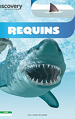 Requins