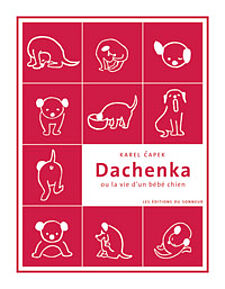 Dachenka