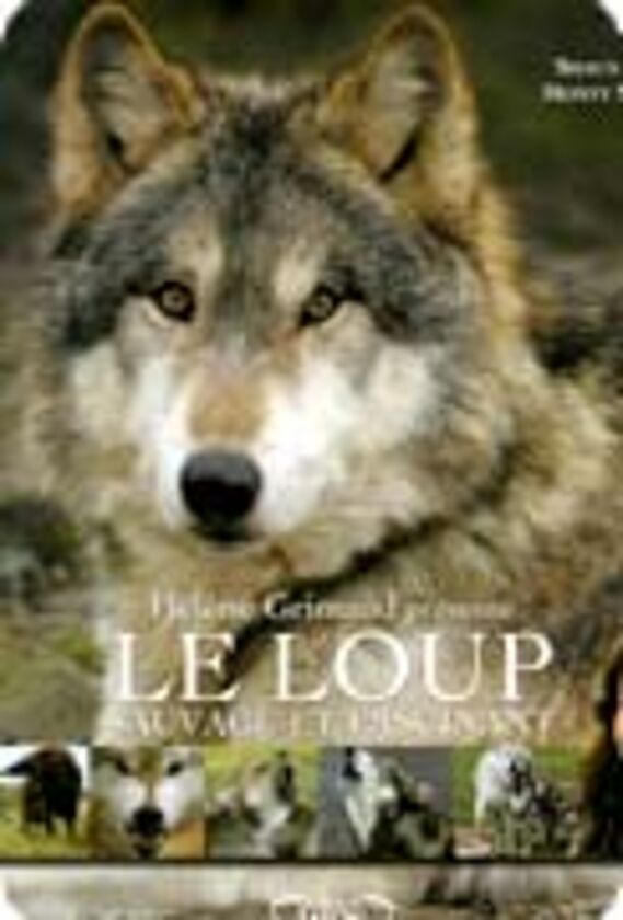Le loup
