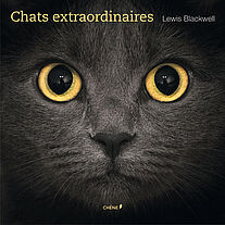Chats extraordinaires