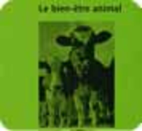 Bien-être animal en Europe