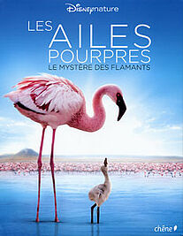 cd pour chats et chiens