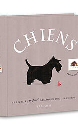 Chiens