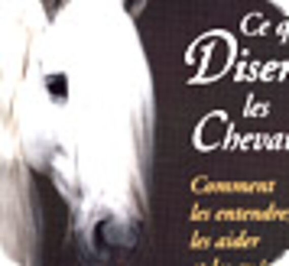 cd pour chats et chiens