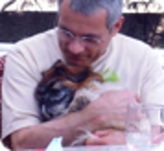 L'aide à l'adoption des chiens âgés ne prend pas de vacances !