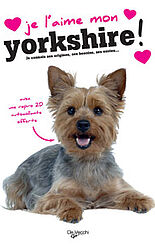 Je l'aime mon yorkshire !