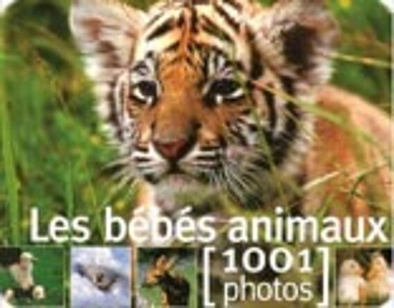 Les bébés animaux