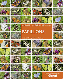 Papillons